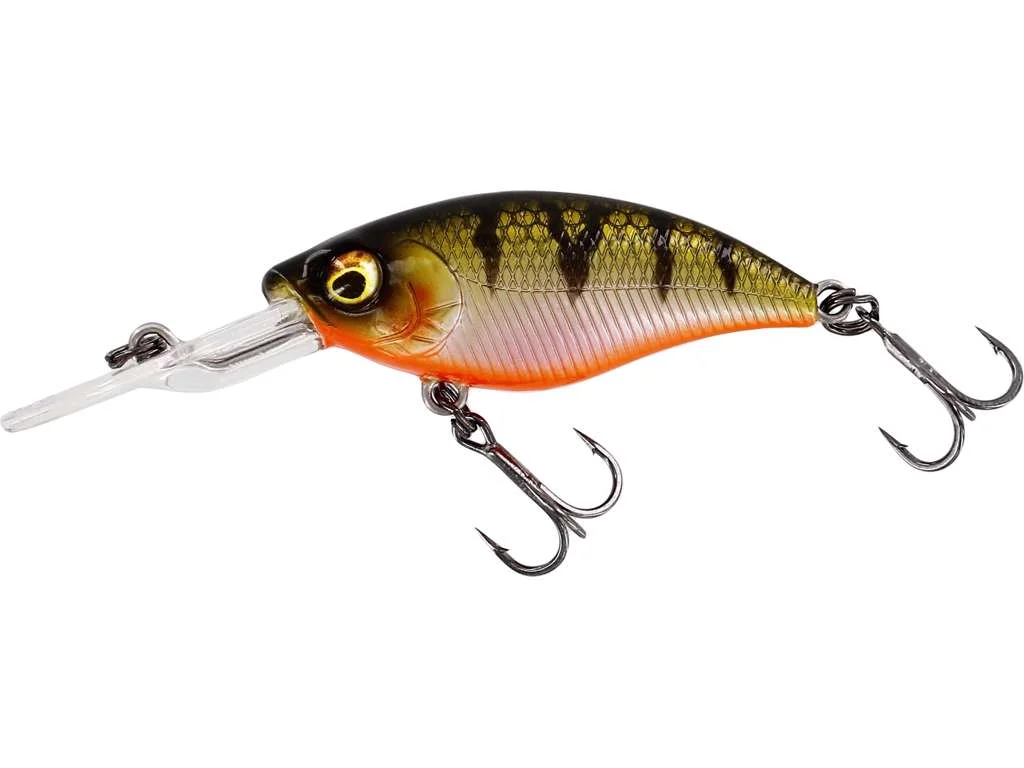 pacificpeche-1877523