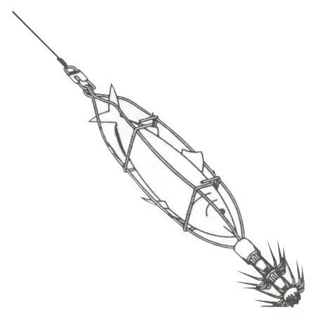 pacificpeche-1885967