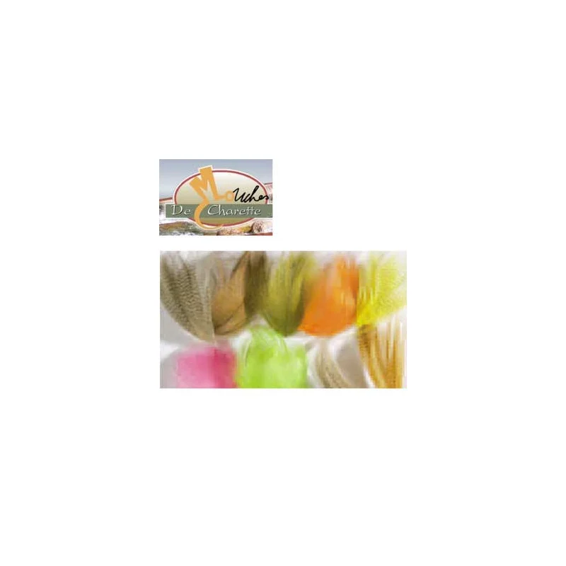 pechechassediscount1-1891012