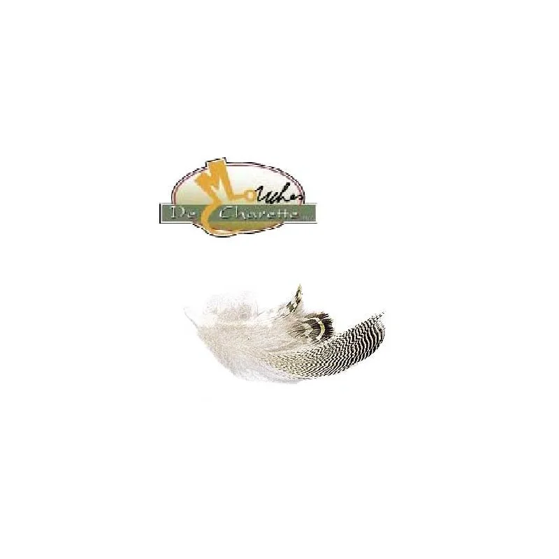 pechechassediscount1-1893276