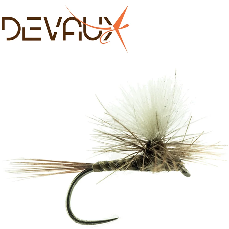 pechechassediscount1-1900262