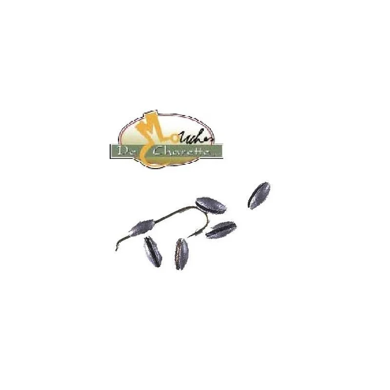 pechechassediscount1-1901114