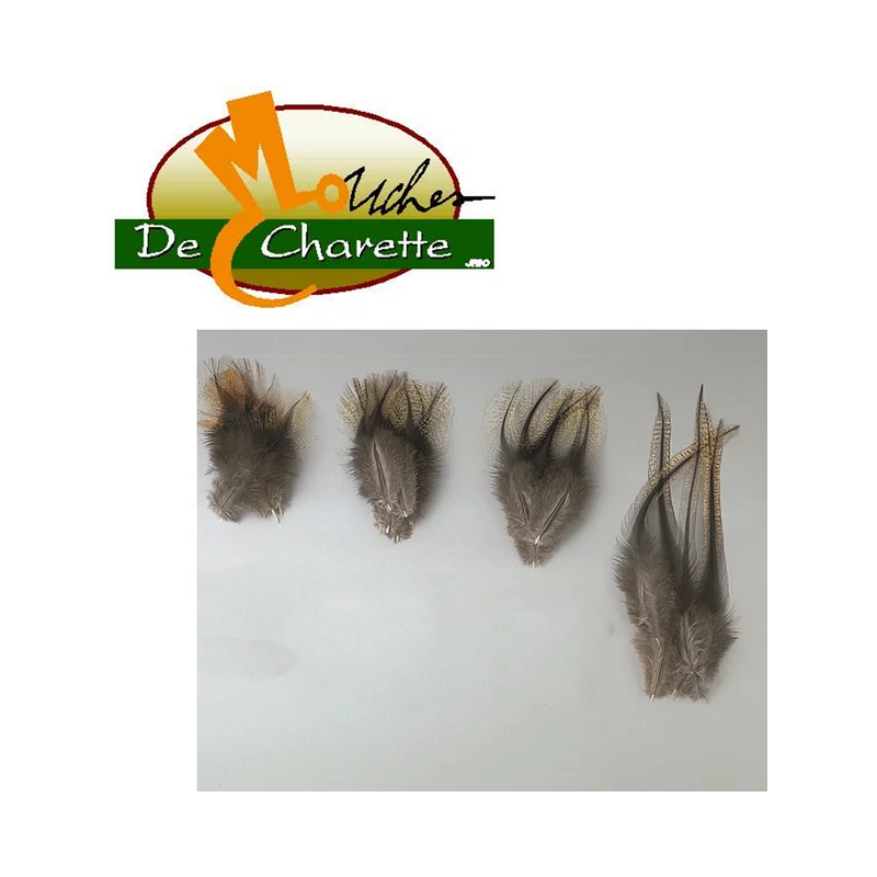 pechechassediscount1-1901205