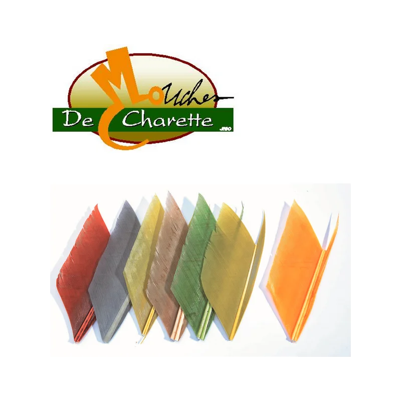 pechechassediscount1-1901463
