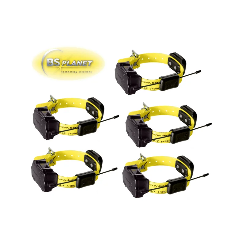 pechechassediscount1-1911001