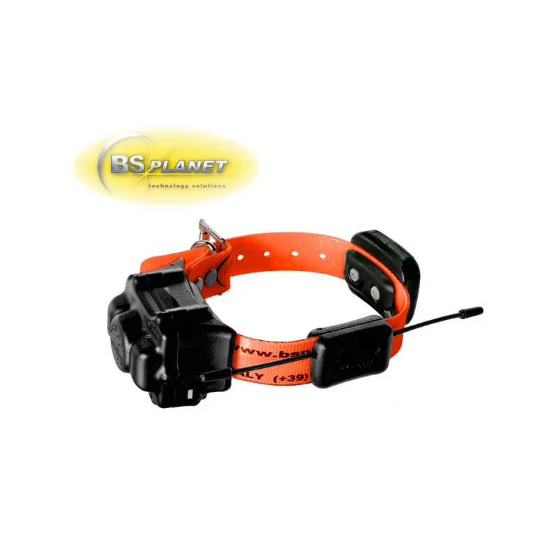 pechechassediscount1-1911015