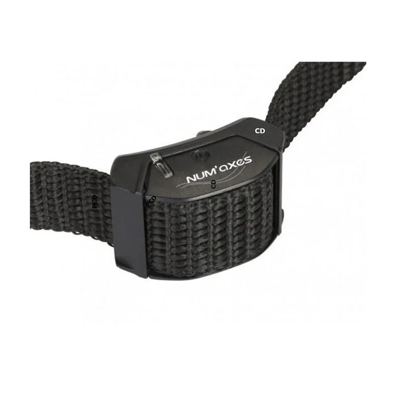 pechechassediscount1-1920449