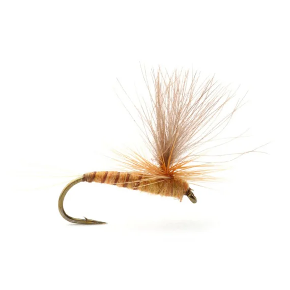 sportfishtackle-2032572