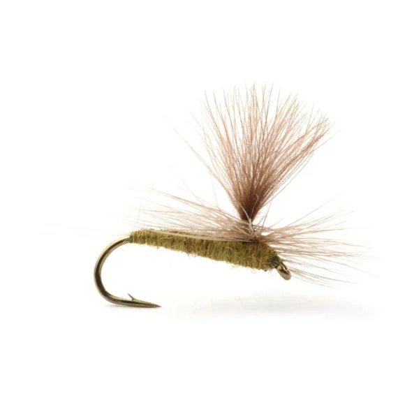 sportfishtackle-2032596