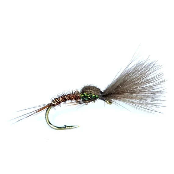 sportfishtackle-2034479