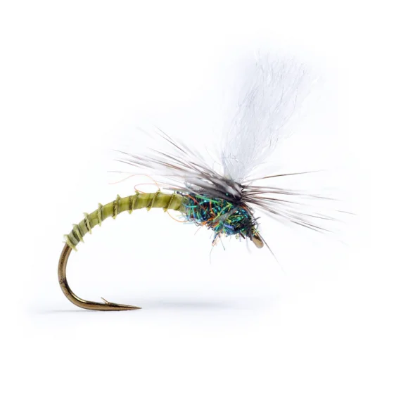 sportfishtackle-2034569