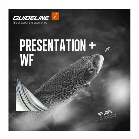 sportfishtackle-2036186