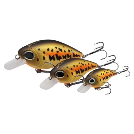 sportfishtackle-2044263