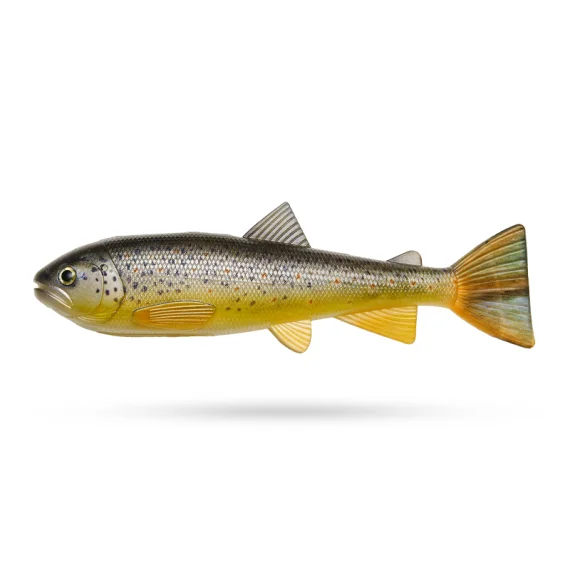 sportfishtackle-2046385