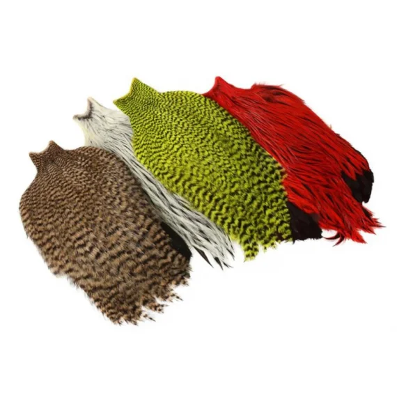 sportfishtackle-2048874