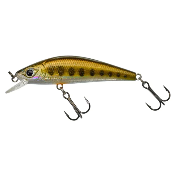 sportfishtackle-2049895
