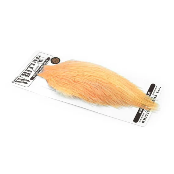 sportfishtackle-2056068