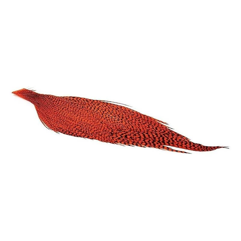 sportfishtackle-2057105