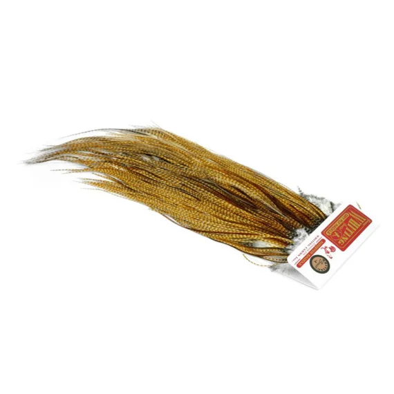 sportfishtackle-2058956
