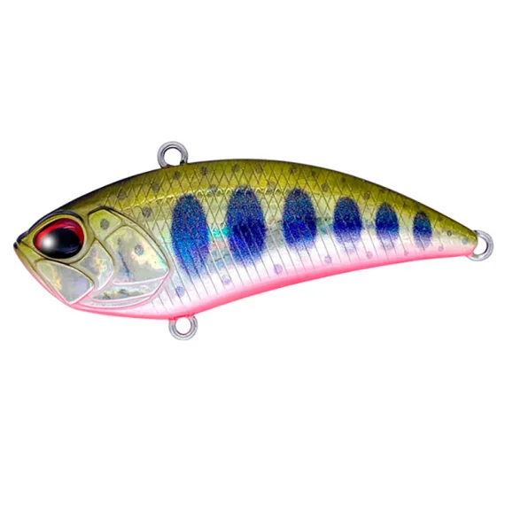 sportfishtackle-2062025
