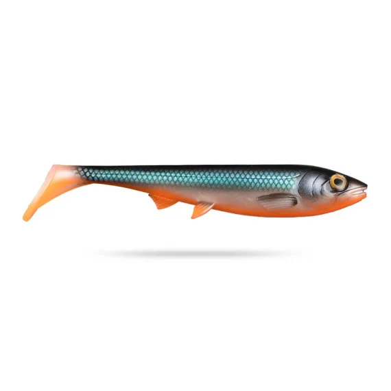 sportfishtackle-2062489