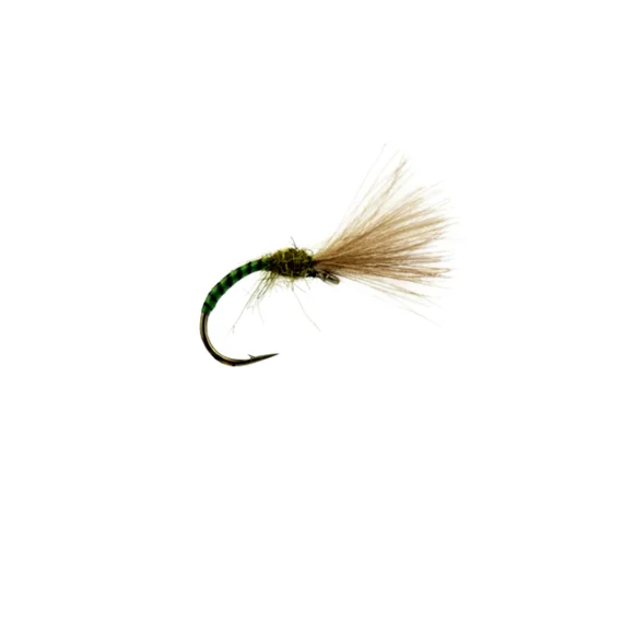 sportfishtackle-2062951