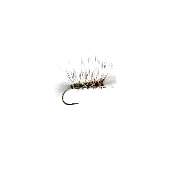 sportfishtackle-2062983