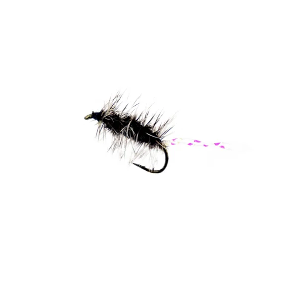 sportfishtackle-2062987