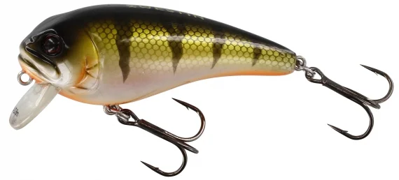 sportfishtackle-2063291