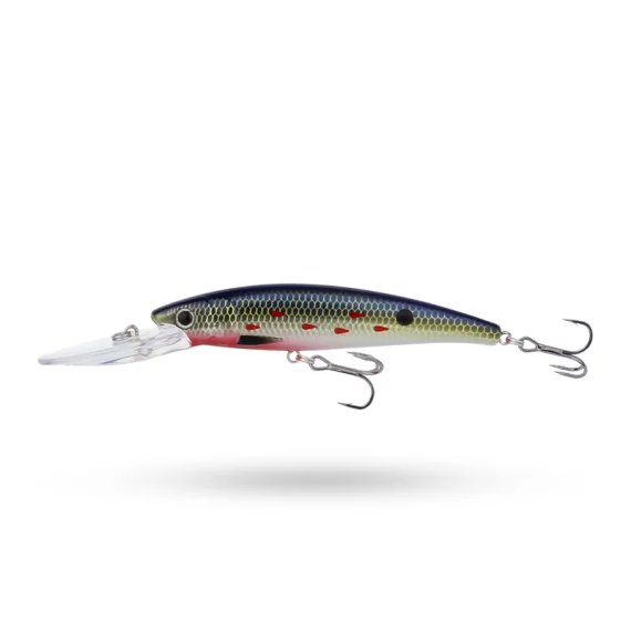 sportfishtackle-2064196