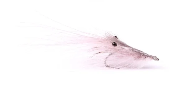sportfishtackle-2064282
