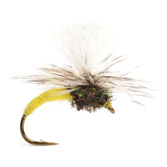 sportfishtackle-2065116