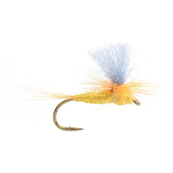 sportfishtackle-2065119