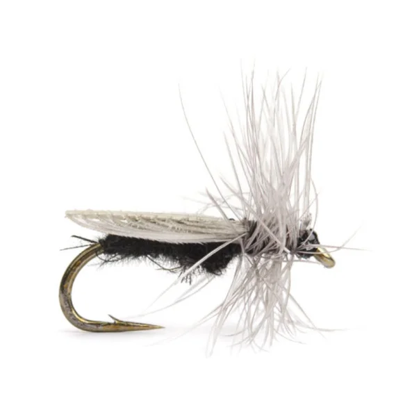 sportfishtackle-2065172