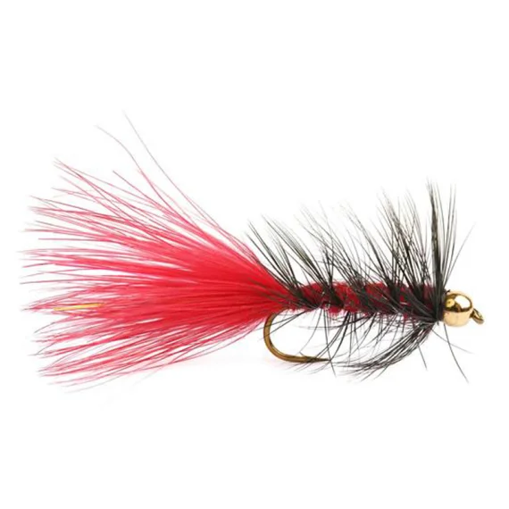 sportfishtackle-2065195
