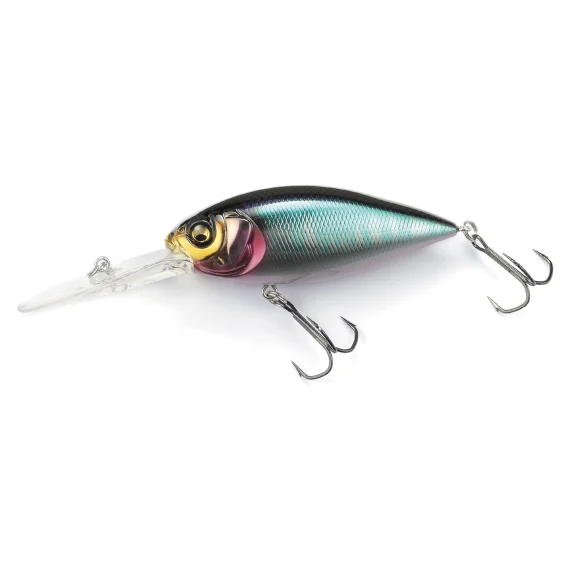 sportfishtackle-2067369