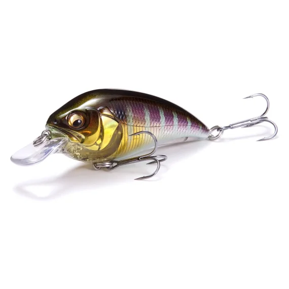 sportfishtackle-2067406