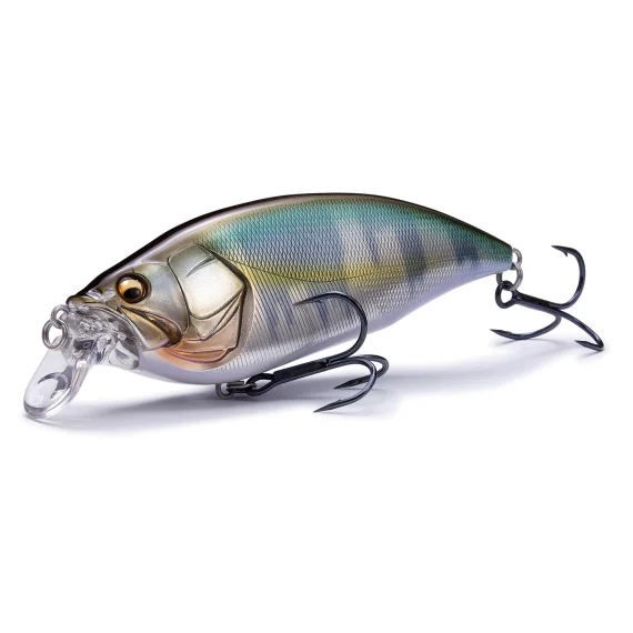 sportfishtackle-2067419