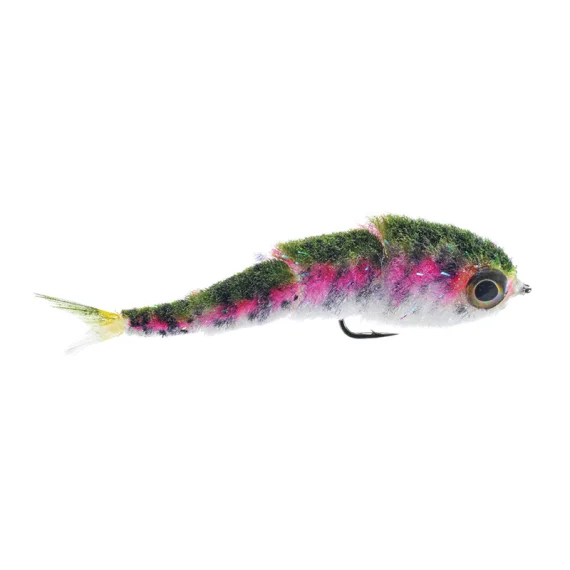 sportfishtackle-2068497