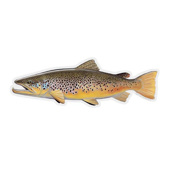 sportfishtackle-2068688