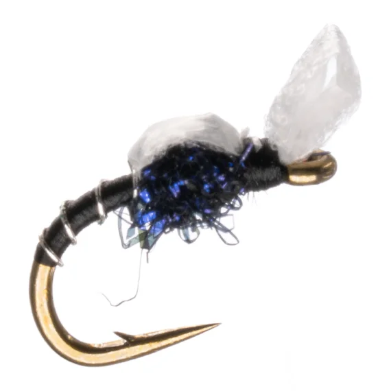 sportfishtackle-2068832