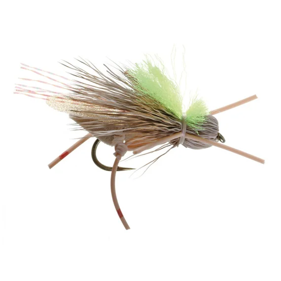 sportfishtackle-2068877