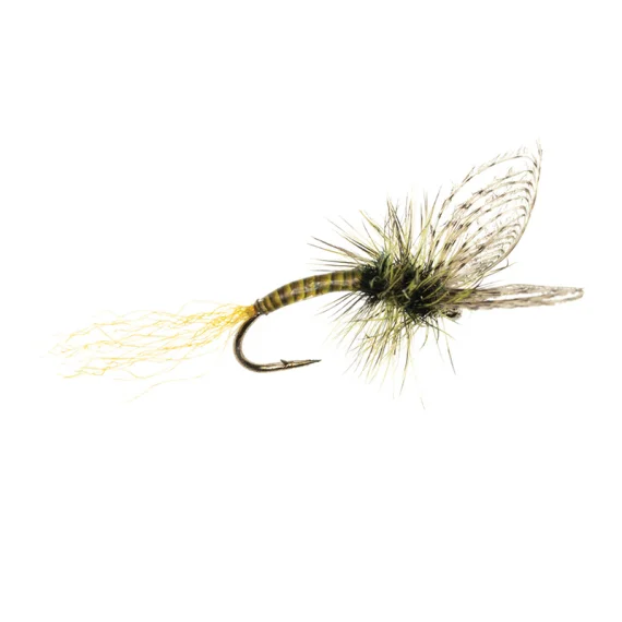 sportfishtackle-2068881