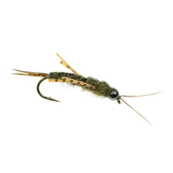 sportfishtackle-2068910