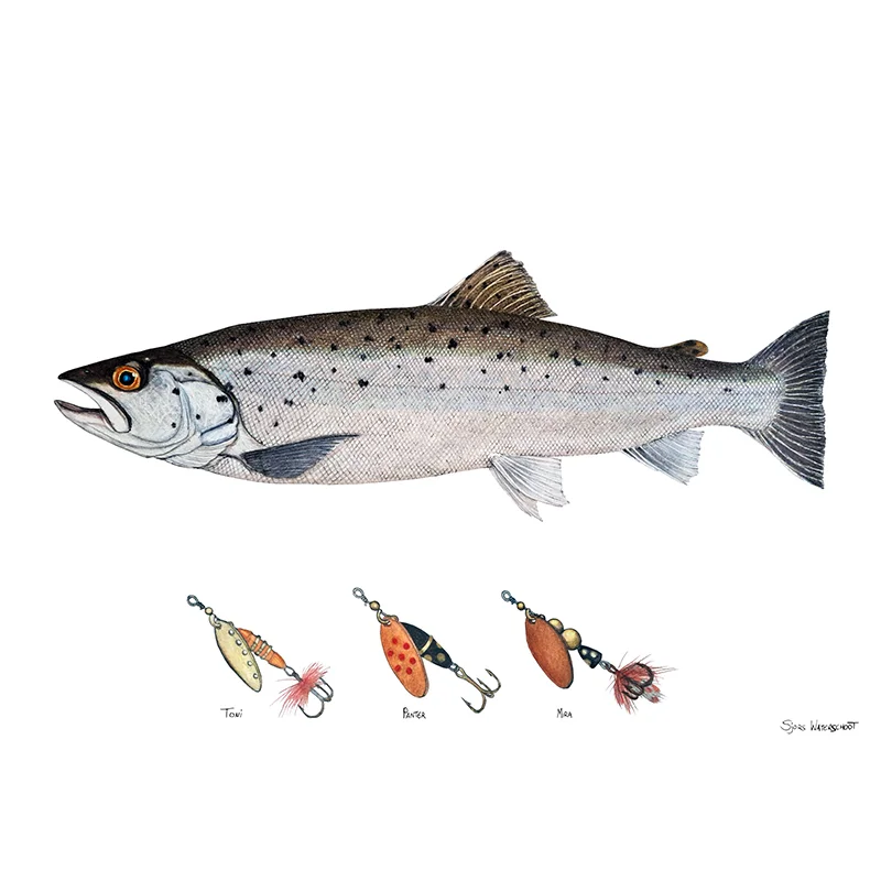 sportfishtackle-2068995
