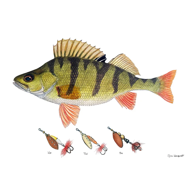 sportfishtackle-2069000