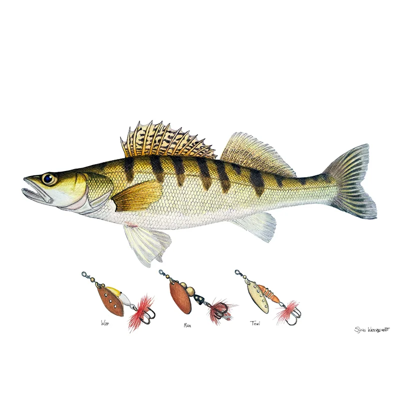 sportfishtackle-2069007