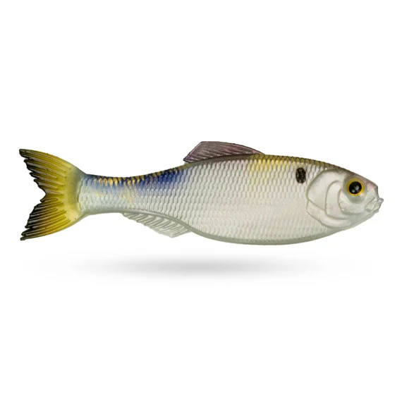 sportfishtackle-2069699