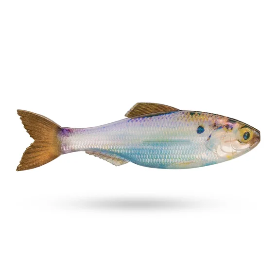 sportfishtackle-2069704