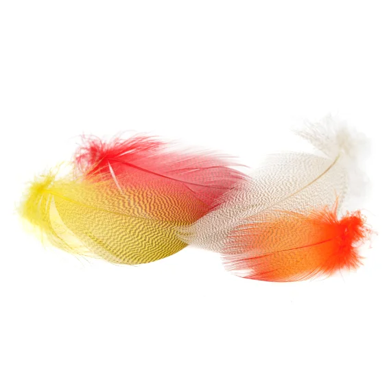 sportfishtackle-2074476